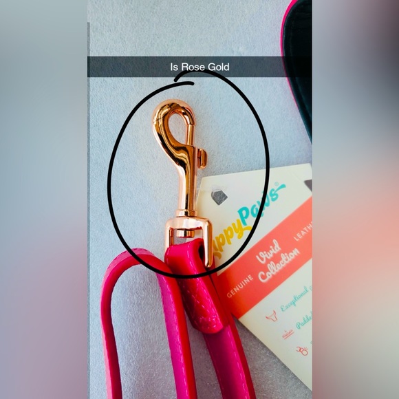 ZippyPaws Vivid Collection Dog Leash 5FT Dog Accessories Premium Leather  NWT - Picture 11 of 14